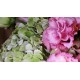 Two Hydrangea Bouquet Two Hydrangea Bouquet