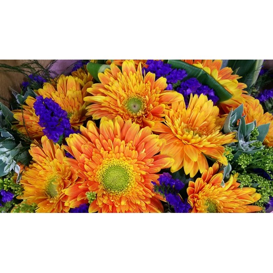 Ten Holland Gerberas Bouquet  Sunny Day