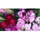 Peony with Roses Bouquet Peony with Roses Bouquet