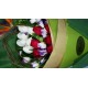Bird Paradise with Roses Bouquet Bird Paradise with Roses Bouquet