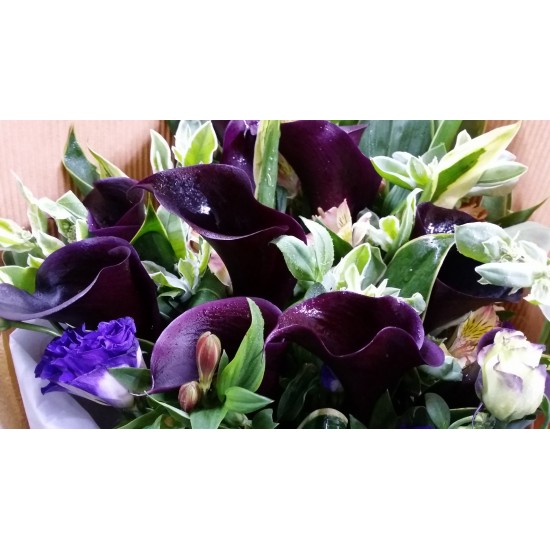 Black Color Calla Lily Bouquet Black Color Calla Lily Bouquet