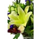 Radiance in Bloom Stargazer Lily Vase Arrangement Radiance in Bloom Stargazer Lily Vase Arrangement