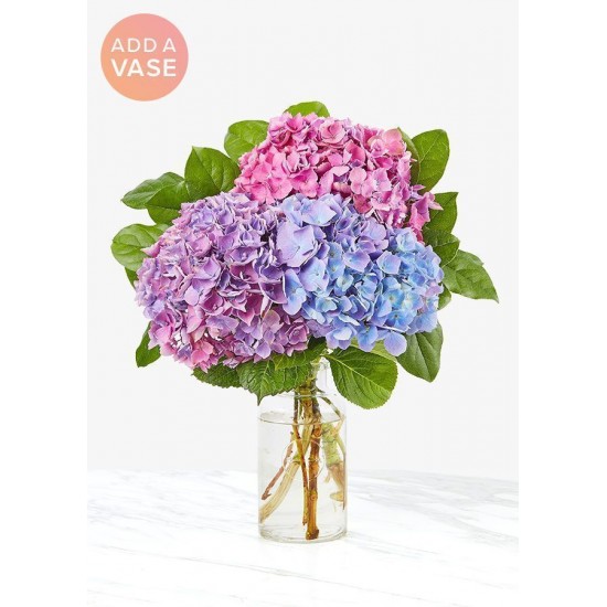 The Andrea Vase Bouquet - Three Hydrangea The Andrea Vase Bouquet - Three Hydrangea