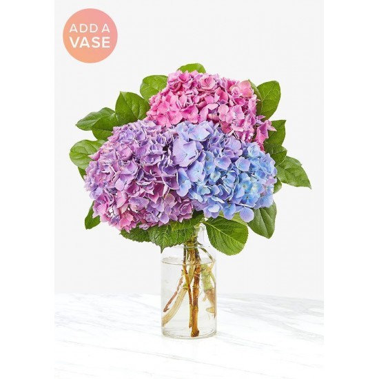 The Andrea Vase Bouquet - Three Hydrangea