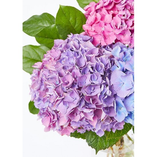 The Andrea Vase Bouquet - Three Hydrangea The Andrea Vase Bouquet - Three Hydrangea