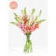 The Daniella Vase Bouquet The Daniella Vase Bouquet