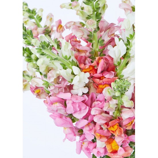 The Daniella Vase Bouquet The Daniella Vase Bouquet