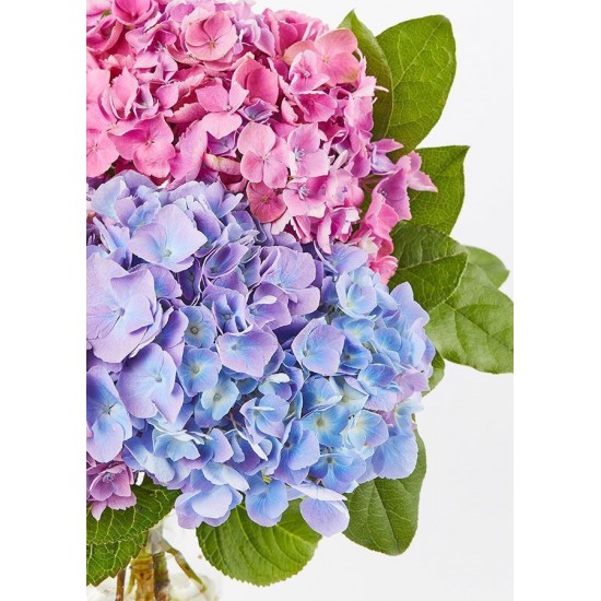 The Andrea Vase Bouquet - Three Hydrangea The Andrea Vase Bouquet - Three Hydrangea