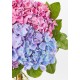 The Andrea Vase Bouquet - Three Hydrangea The Andrea Vase Bouquet - Three Hydrangea